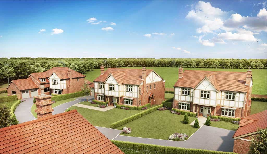 Land & New Homes Branch
